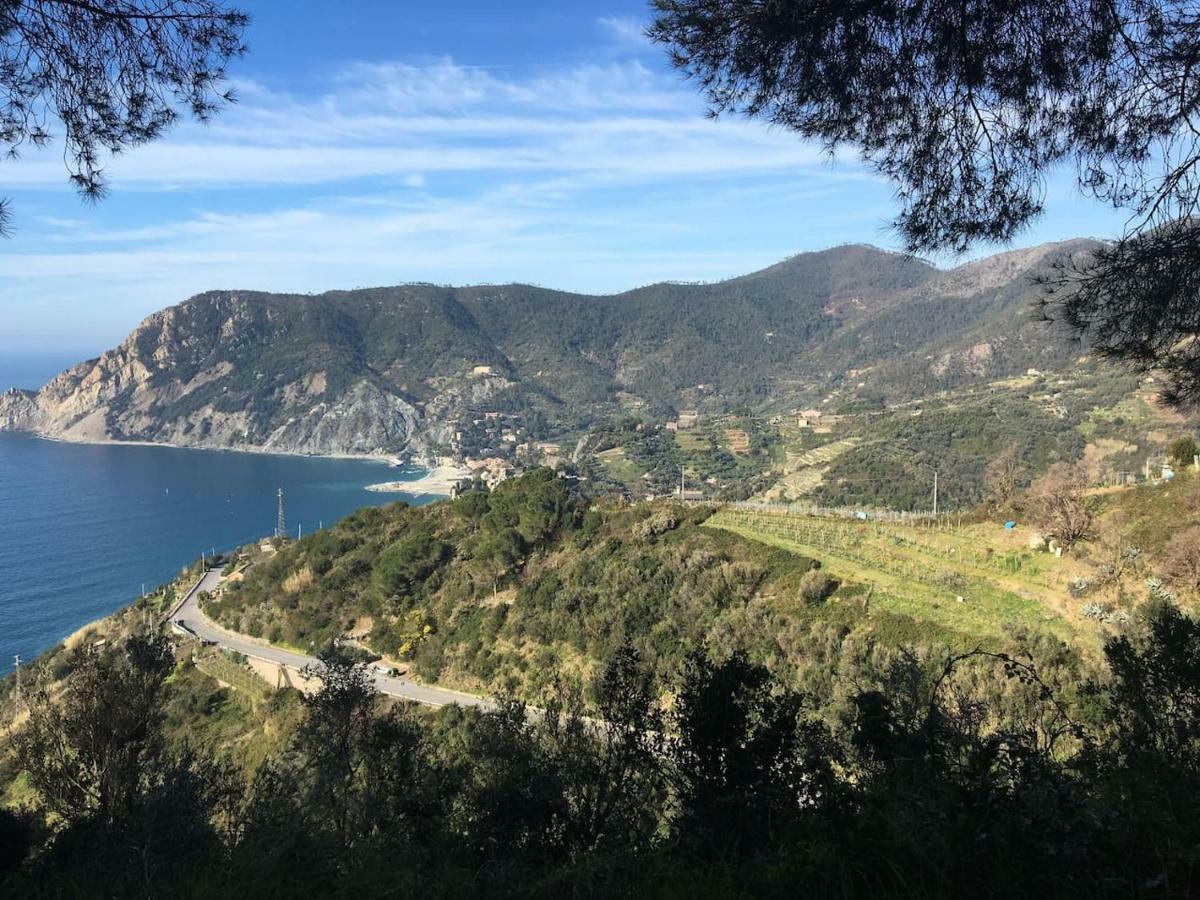 La Terrazza Di Monterosso Monterosso al Mare Exterior foto